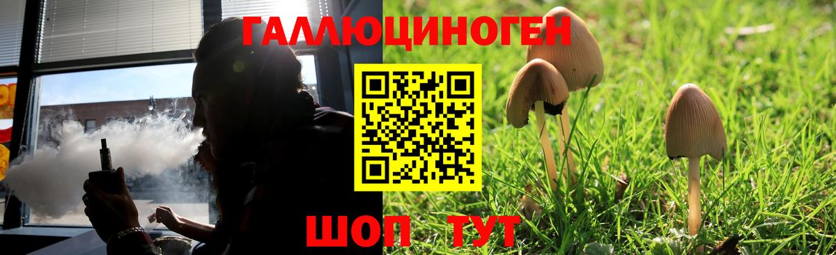 Псилоцибиновые грибы Magic Shrooms  Вход с VPN  Аргун 